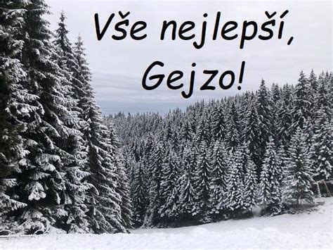 nej prani  svatku pro gejzu  roce  zdarma