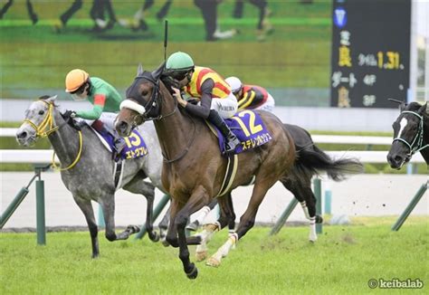 競馬 桜花賞 ステレンボッシュ 新聞記事 即日発送 注目 記念グッズ