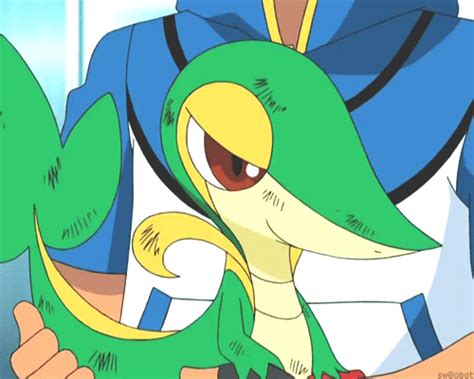 Pokemon Snivy WiffleGif