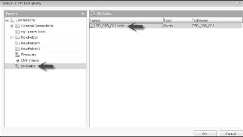 Sap Webi Queries Using Bex