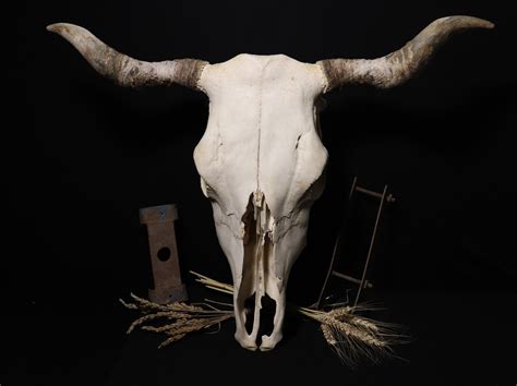 Cow Skull Darkart Gothic Style Gothic Home Decor Etsy