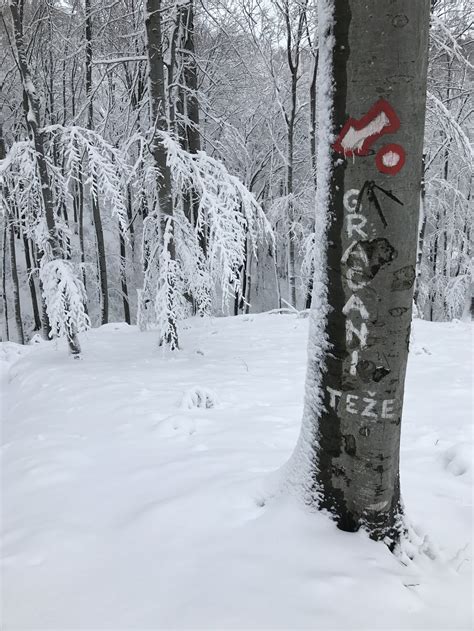 Running The Trails Of Medvednica Mountain Zagreb Croatia