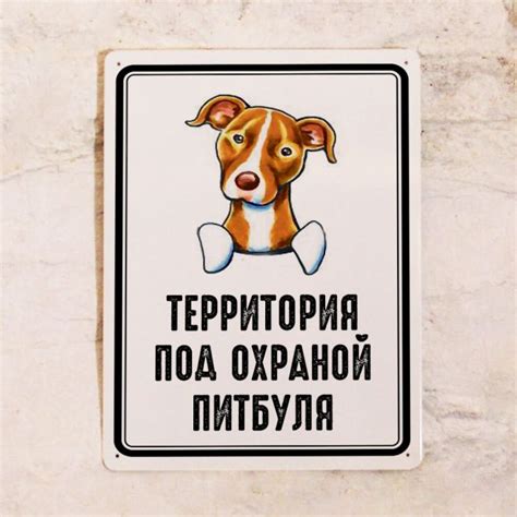 Табличка "Осторожно злая собака" прикольная. Купить в СПб