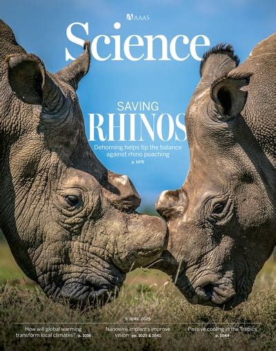 Sex Biased Gene Expression Across Mammalian Organ Development And Evolution Science
