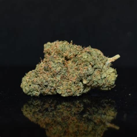 Buy Alaskan Thunder Fuck AA Online In Canada Bulk Weed