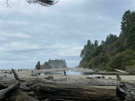 Photos of Ruby Beach - Washington | AllTrails