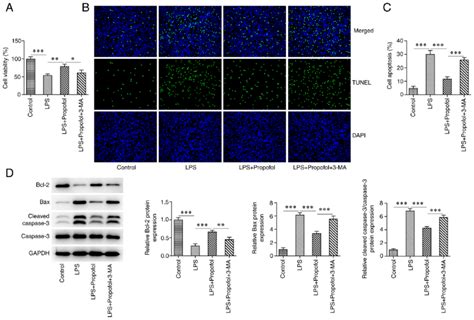 Propofol Reduces Lps Induced Decreases In Cardiomyocyte Viability And