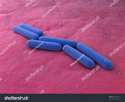 바실러스 서브틸리스 스톡 일러스트 13863721 | Shutterstock