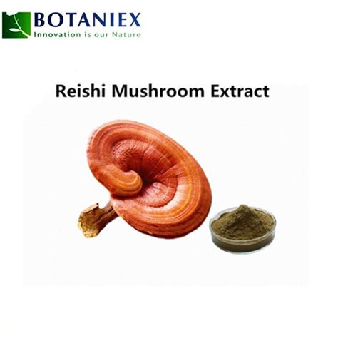 Ganoderma Lucidum Lingzhi Reishi Mushroom Extract Polysaccharide