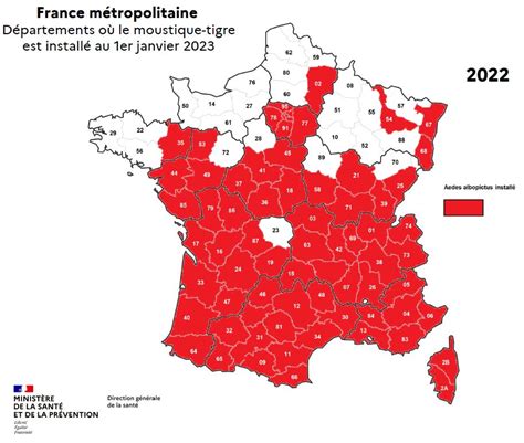 La Prolif Ration Du Moustique Tigre En France Sacc L Re Brief Me