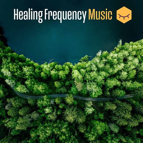 Healing Frequency Music Solfeggio Frequencies Bonus