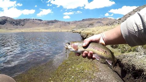 Impresionante PESCA DE TRUCHAS EN LAGUNA Pescando TRUCHAS GRANDES CON