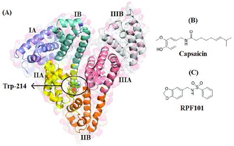 A Human Serum Albumin Hsa Structure As Cartoon Representation And