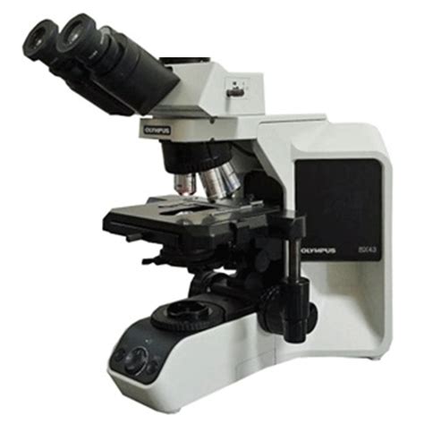 Olympus BX43 Trinocular Microscope Lab Equipment Spectraservices