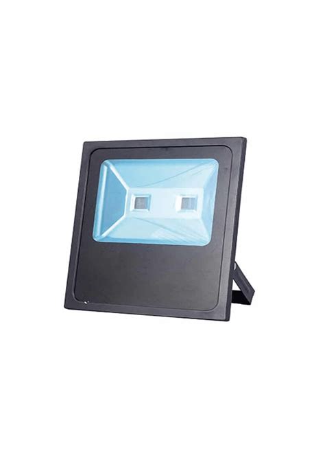 Deluxe Led Floodlight 100w Daylight Ecoshift Corporation