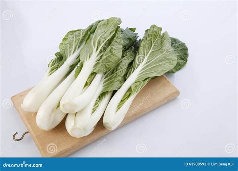 Pak choy or sawi putih stock image. Image of cabbage - 63908593