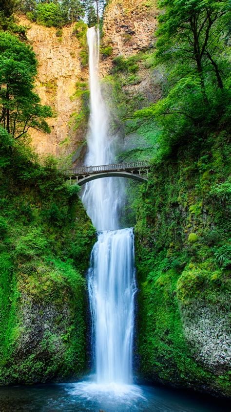 Earth Waterfall Green Bridge Earth Tree 750x1334 Phone HD Wallpaper