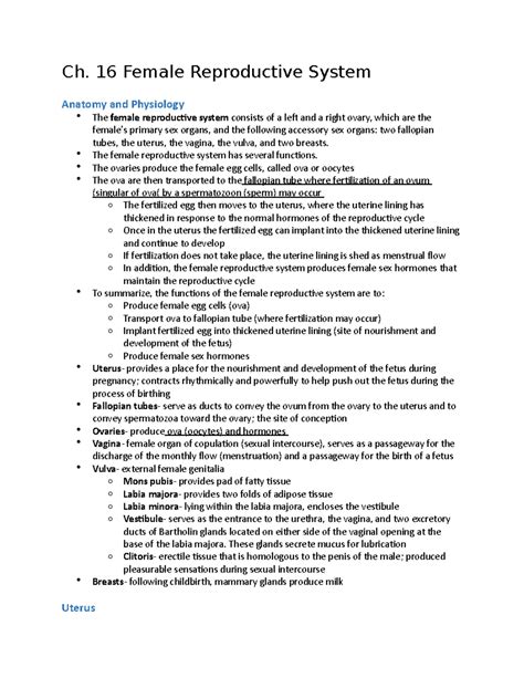 Ch. 16 Female Reproductive System - Ch. 16 Female Reproductive System