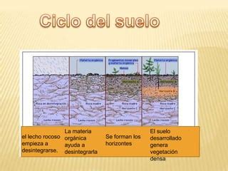 Ciclo Del Suelo Hot Sex Picture