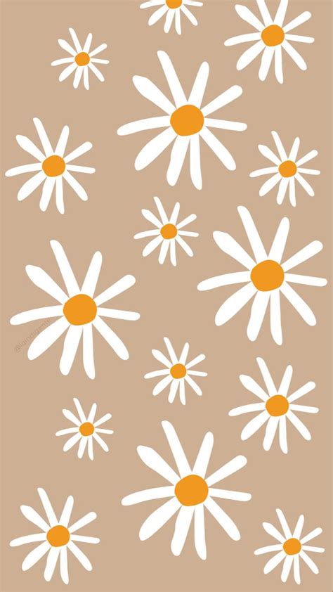 Wallpapers Daisies