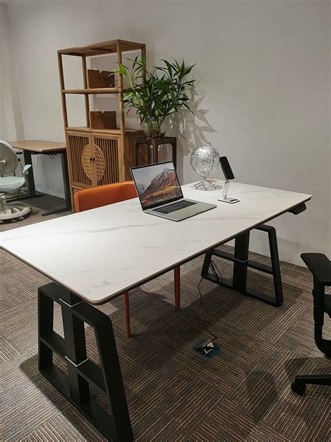 Ergonomics Professional Electric Lift Office Standing Desk Motor Sit ...