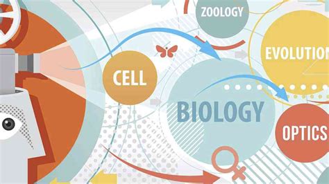 免疫学基础和病原生物学