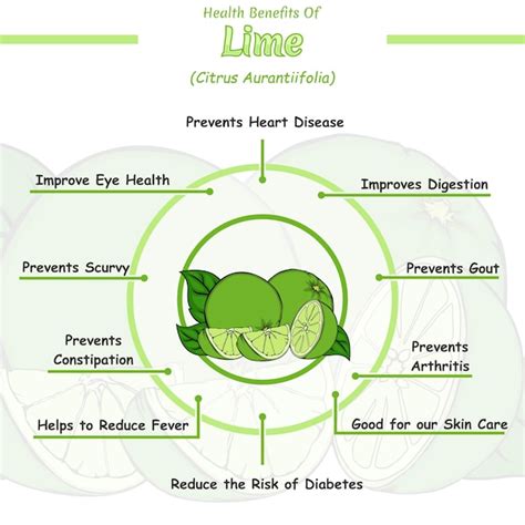 Premium Vector Health Benefits Of A Lime