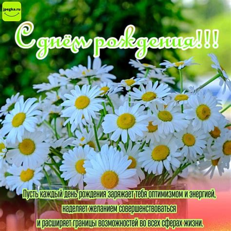 Открытки с Днём Рождения с ромашками: 50 красивых картинок