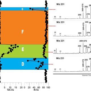 Representative Mass Chromatograms M Z Showing Distribution Of