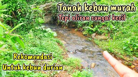 Dijual Tanah Murah Tepi Aliran Sungai Kecil Cocok Juga Untuk Kebun