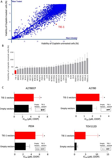Functional high-throughput siRNA screening of therapeutic target genes ... 