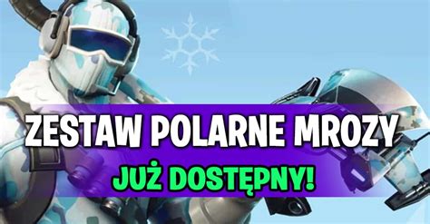 Zestaw Polarne Mrozy Dost Pny Fortnite Polska