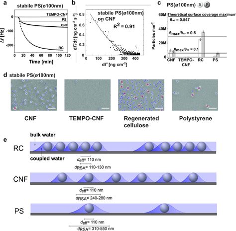 Quantitative Assessment Of Surface Binding Of Nanoplastic Polystyrene