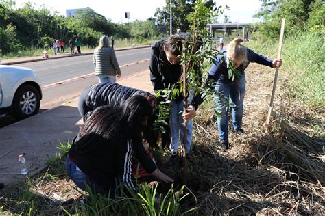 Prefeitura De Lajeado Distribui Mudas De Rvores E Plantas Na Semana Do