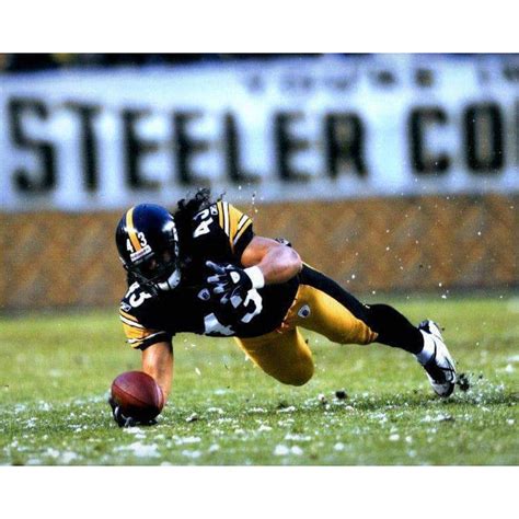 Troy Polamalu One Handed Interception