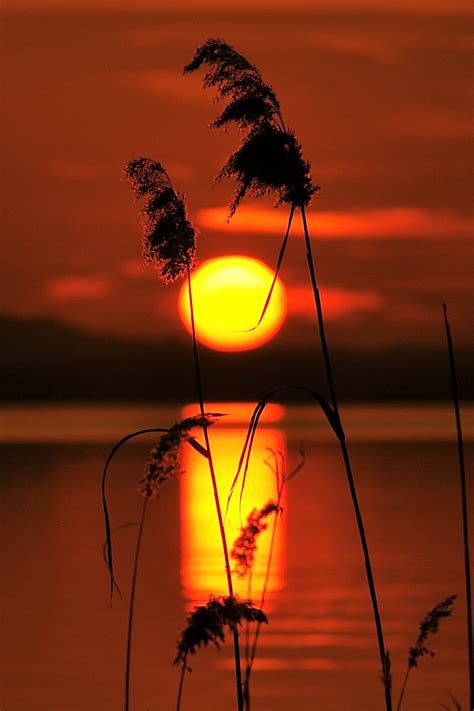 Fotos Gratis Paisaje Agua Naturaleza Silueta Ligero Amanecer