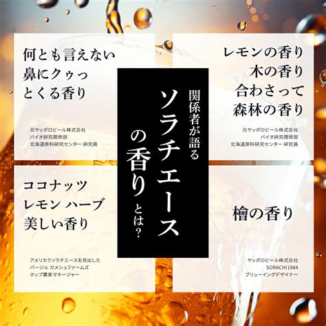 【楽天市場】【ふるさと納税】sorachi 1984 1箱（350ml×12缶）株式会社 ヤマイチ 北海道 上富良野町 ソラチ1984 お酒