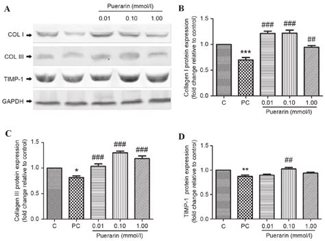 Effects Of Puerarin Treatment On Expression Of Pelvic Organ