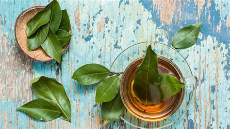 Beneficios Del Té De Hojas De Laurel Y Cómo Prepararlo