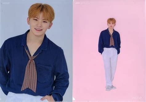 駿河屋 ウジ SEVENTEEN A4クリアファイル2枚セット 24Hリリース記念グッズクリアファイル