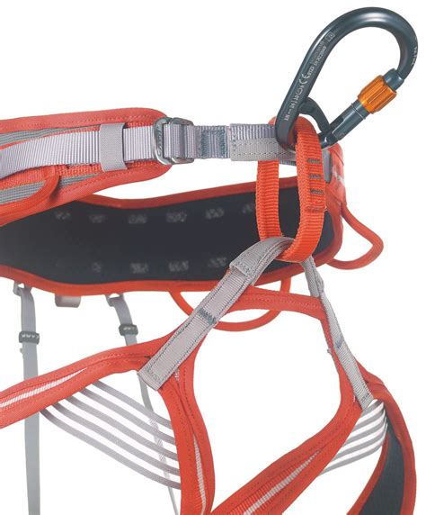 Camp Core Belay Lock mousqueton HMS pour la sécurité MountainGear360