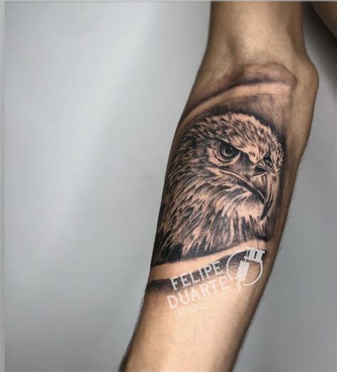 Tatuagens Masculinas Aguia - Águia tattoo masculina primeira sessão | Tatuagem de águia, Tatuagens ...