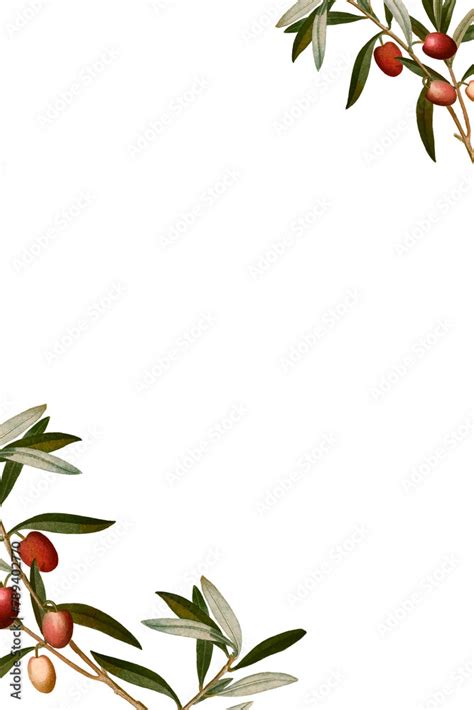 Olive Branches Frame Png Hand Drawn Border Design Space Stock Photo