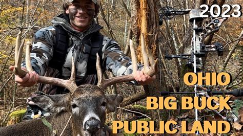 Ohio Public Land Archery Buck Youtube