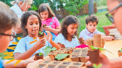 Casos Brasileiros Provam Importância Da Educação Ambiental