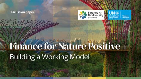 Finance For Nature Positive Building A Working Model Finance For