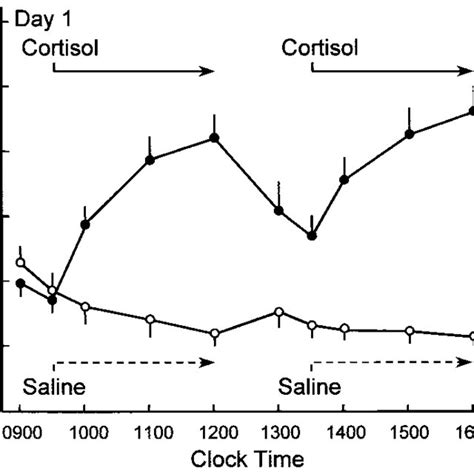 Plasma Cortisol Concentrations Means Se During Two H Cortisol F