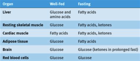 Chapter 12 Bioenergetics And Regulation Of Metabolism Flashcards Quizlet