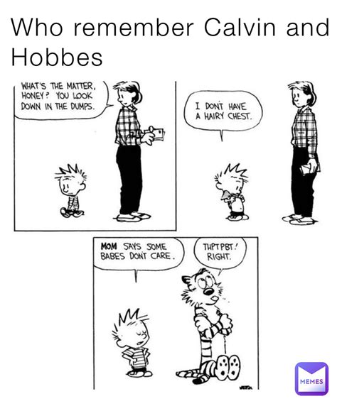 Who remember Calvin and Hobbes | @The_Punk12345 | Memes