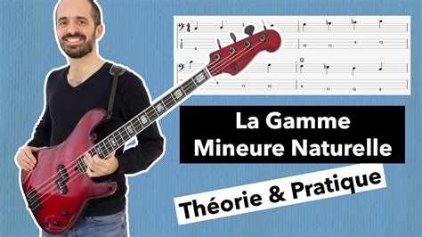 La Gamme Mineure Naturelle Théorie And Pratique 🎸 Cours De Basse